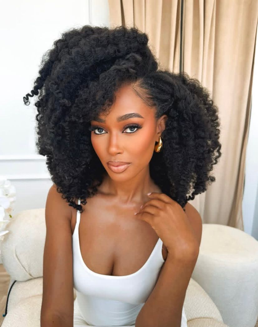 Kinky Curly Hair Bundle/Weft (4A/4B)